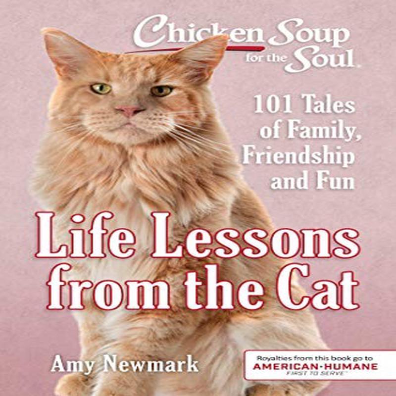 CSFTS: LIFE LESSONS FROM CAT