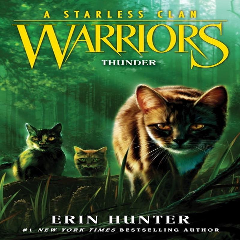 Warriors: A Starless Clan #04: Thunder