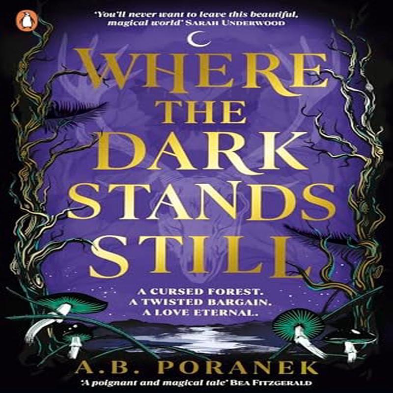 Where the Dark Stands Still