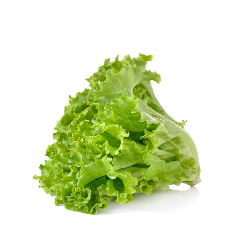 Fresh Lettuce per kilo