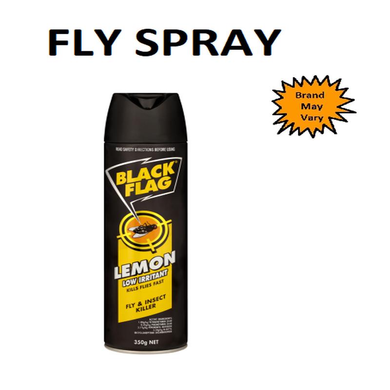 Fly Spray (Brand May Vary)