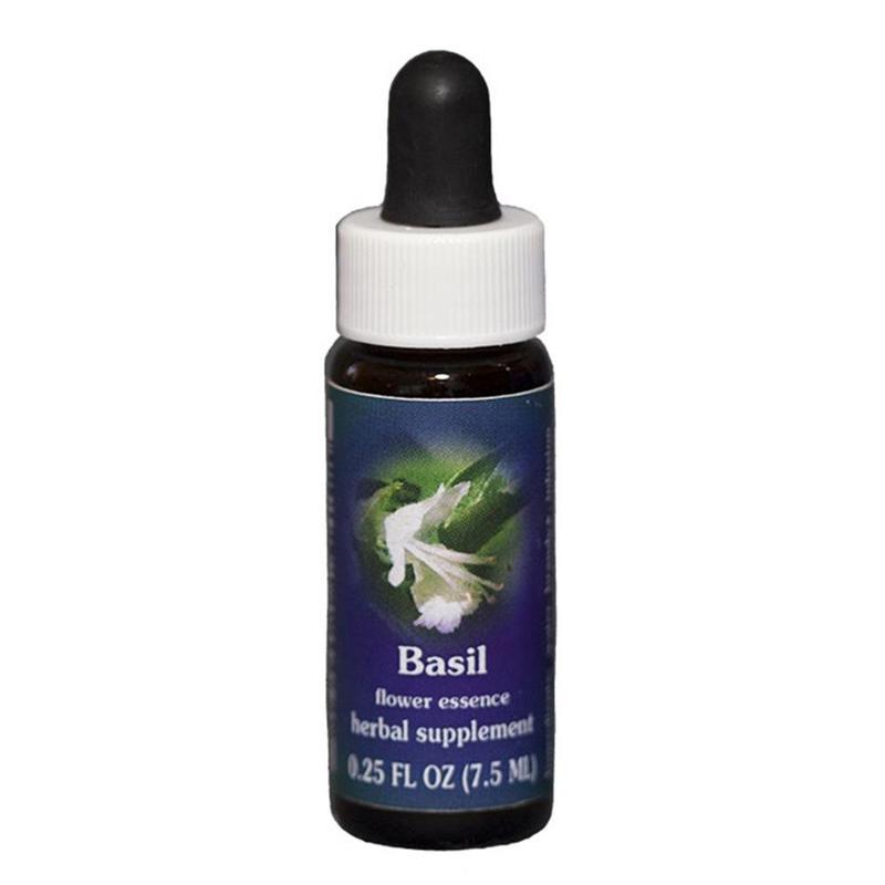 FES Basil Quintessentials 7.5ml