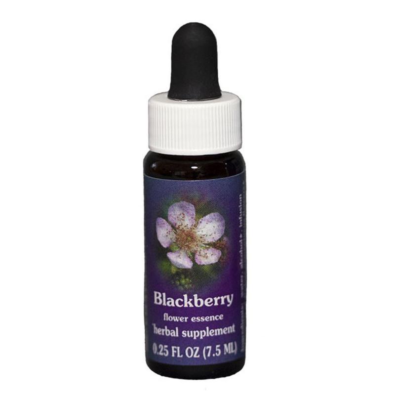 FES Blackberry Quintessentials 7.5ml