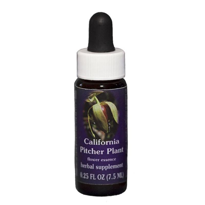 FES California Pitcher Plant Quintessentials 7.5ml