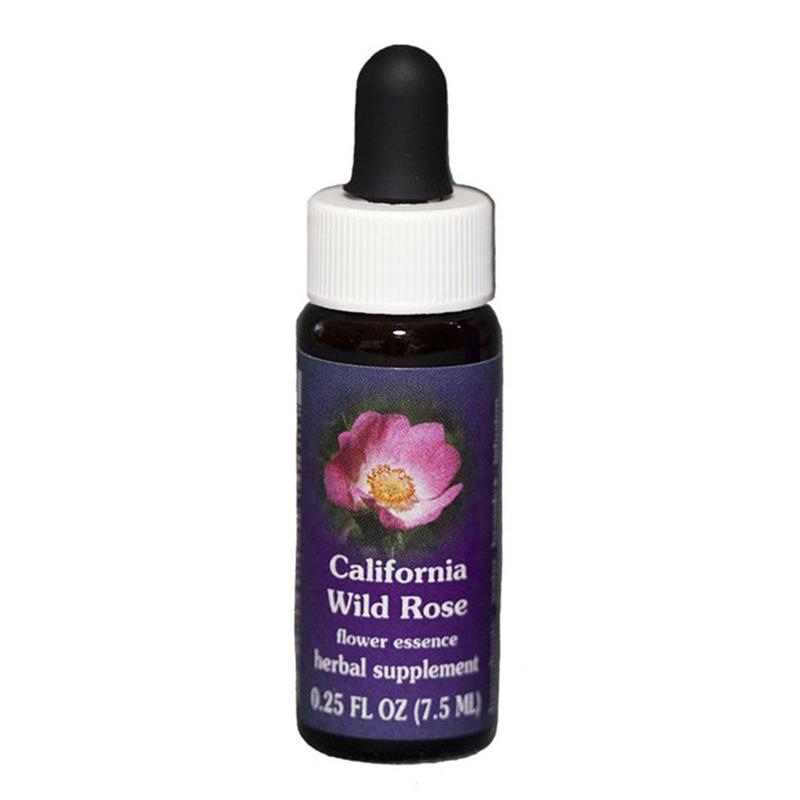 FES California Wild Rose Quintessentials 7.5ml