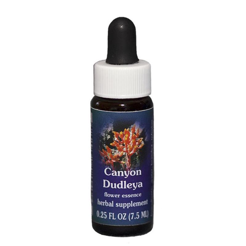 FES Canyon Dudleya Quintessentials 7.5ml