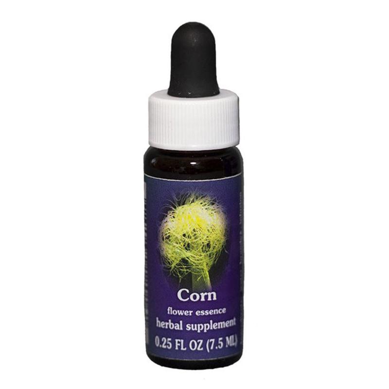 FES Corn Quintessentials 7.5ml