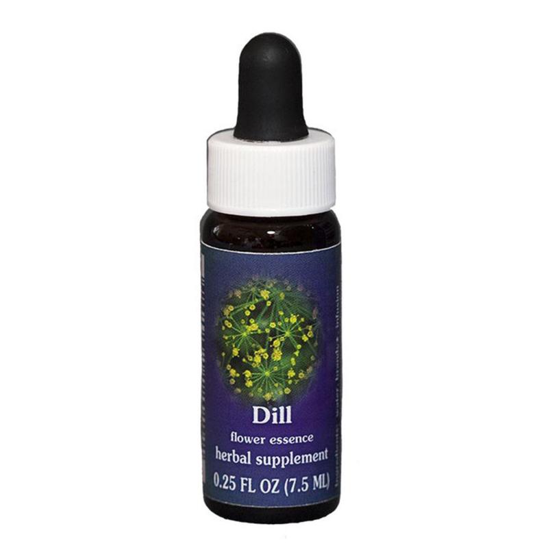 FES Dill Quintessentials 7.5ml