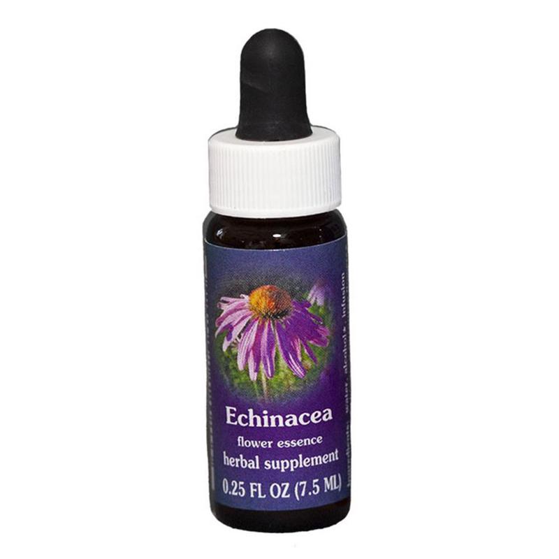 FES Echinacea Quintessentials 7.5ml