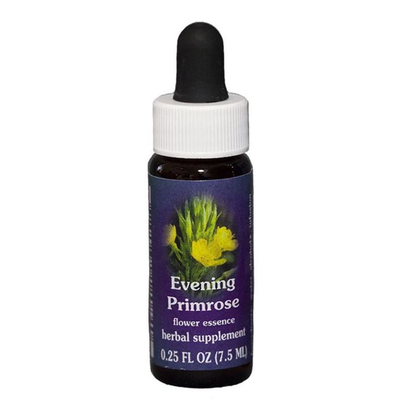 FES Evening Primrose Quintessentials 7.5ml