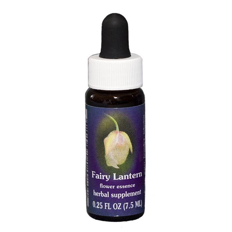 FES Fairy Lantern Quintessentials 7.5ml