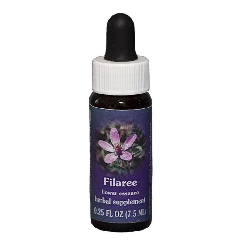 FES Filaree Quintessentials 7.5ml