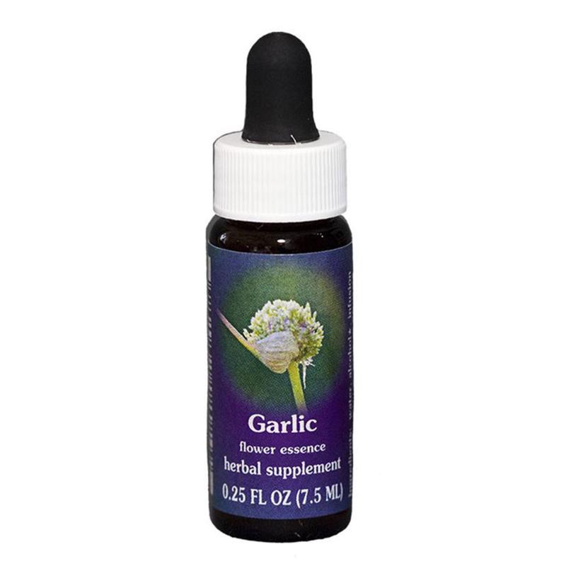 FES Garlic Quintessentials 7.5ml