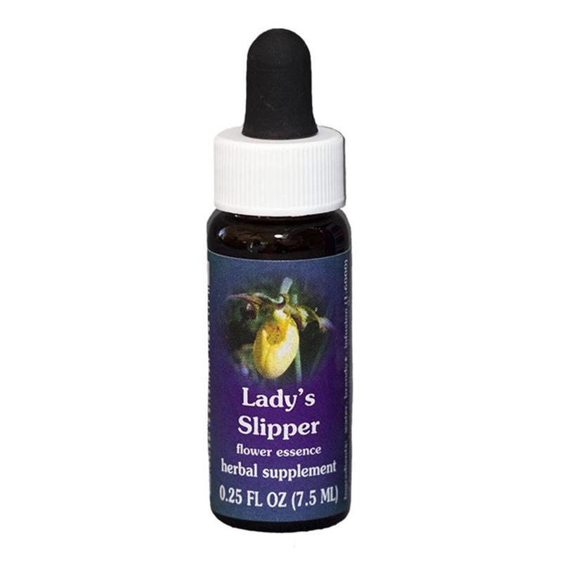 FES Lady's Slipper Quintessentials 7.5ml