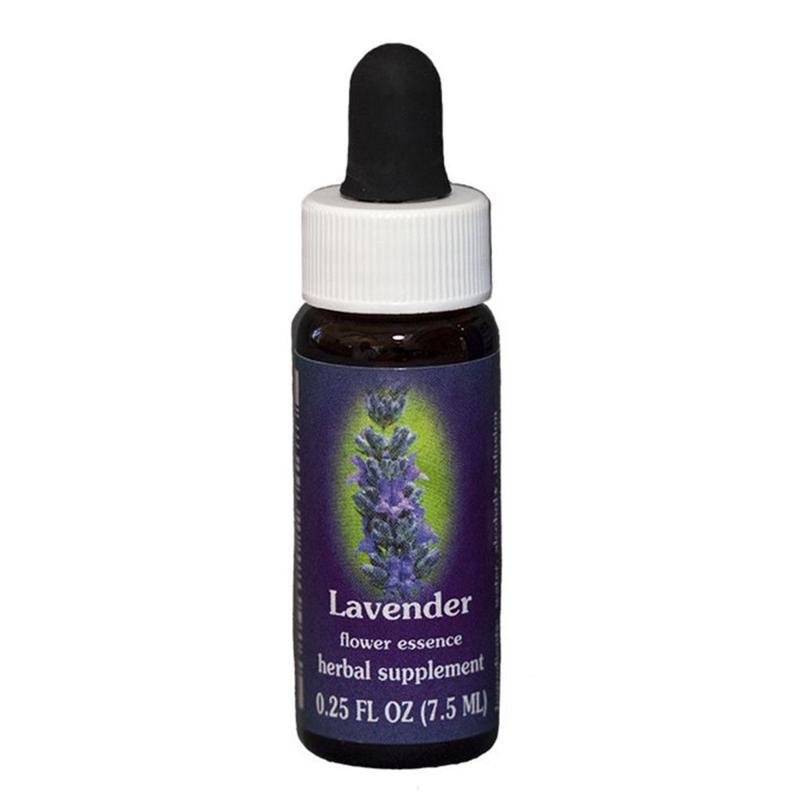 FES Lavender Quintessentials 7.5ml