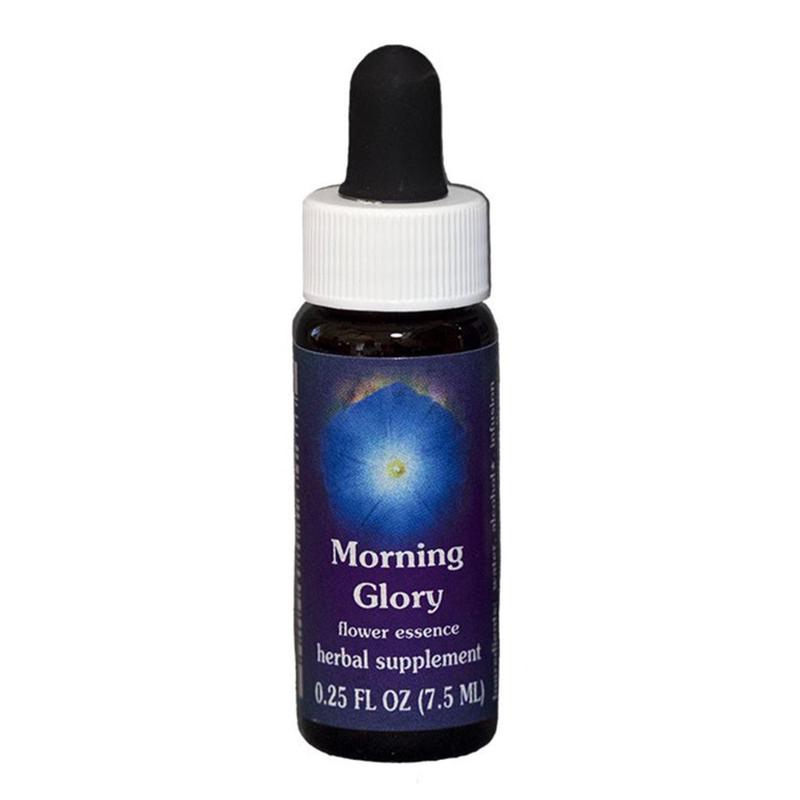 FES Morning Glory Quintessentials 7.5ml