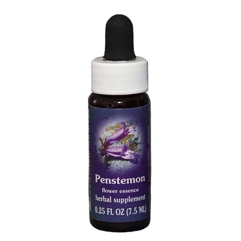 FES Quintessentials Penstemon 7.5ml