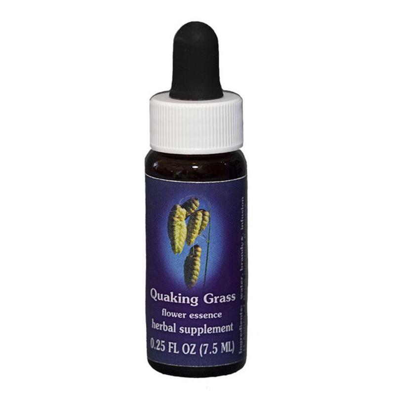 FES Quintessentials Quaking Grass 7.5ml