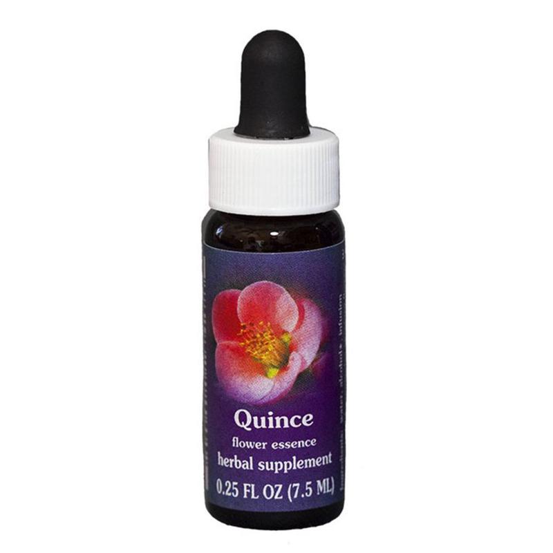 FES Quintessentials Quince 7.5ml