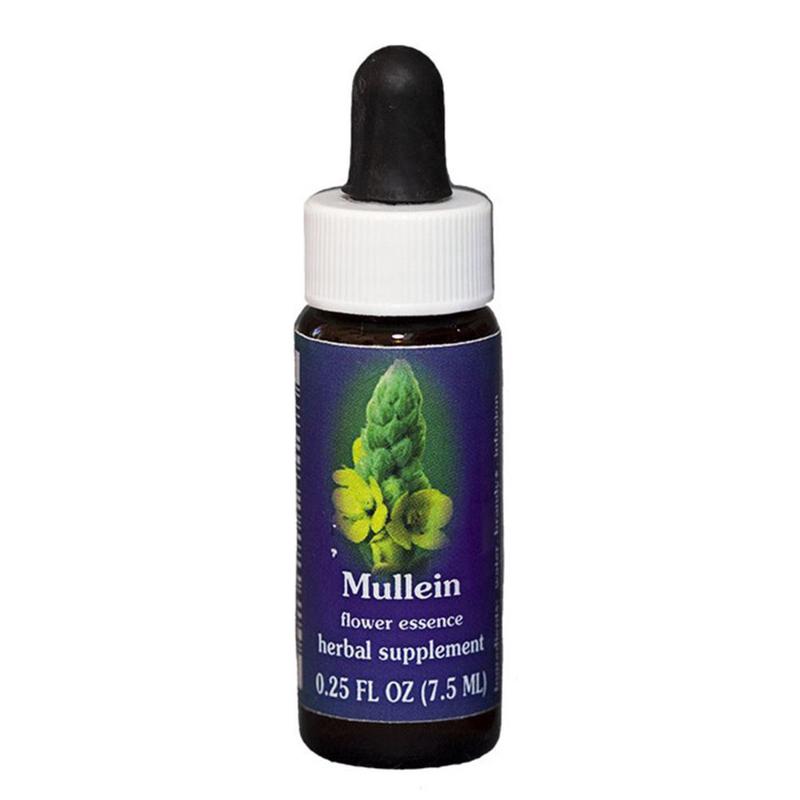 FES Mullein Quintessentials 7.5ml