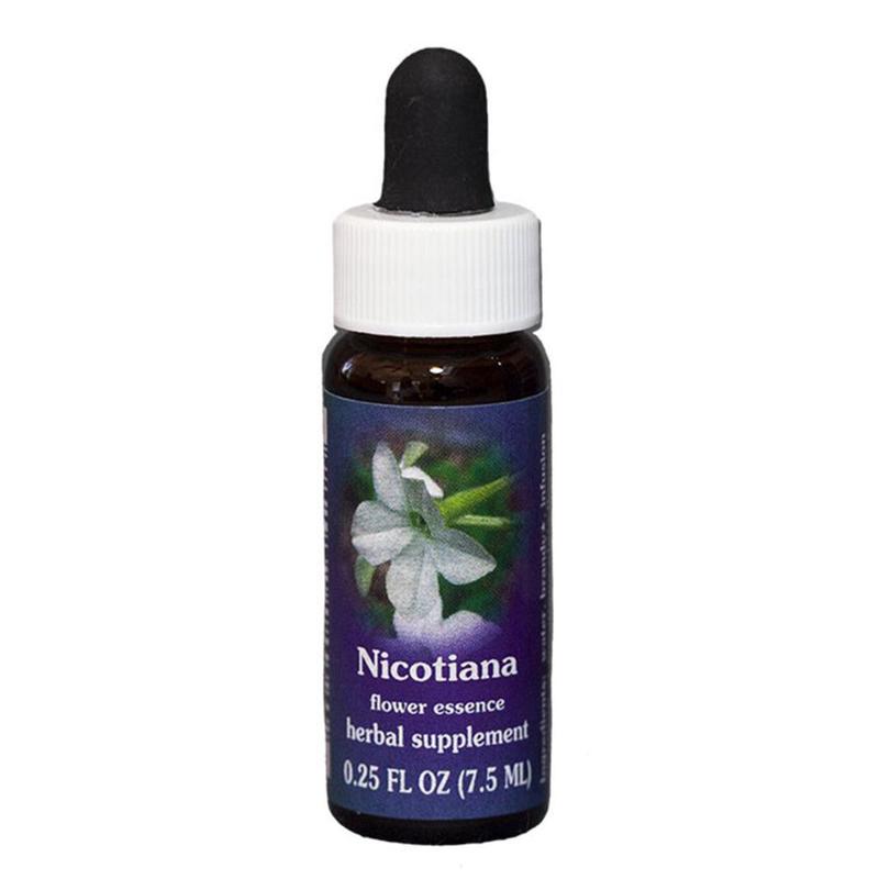 FES Nicotiana Quintessentials 7.5ml