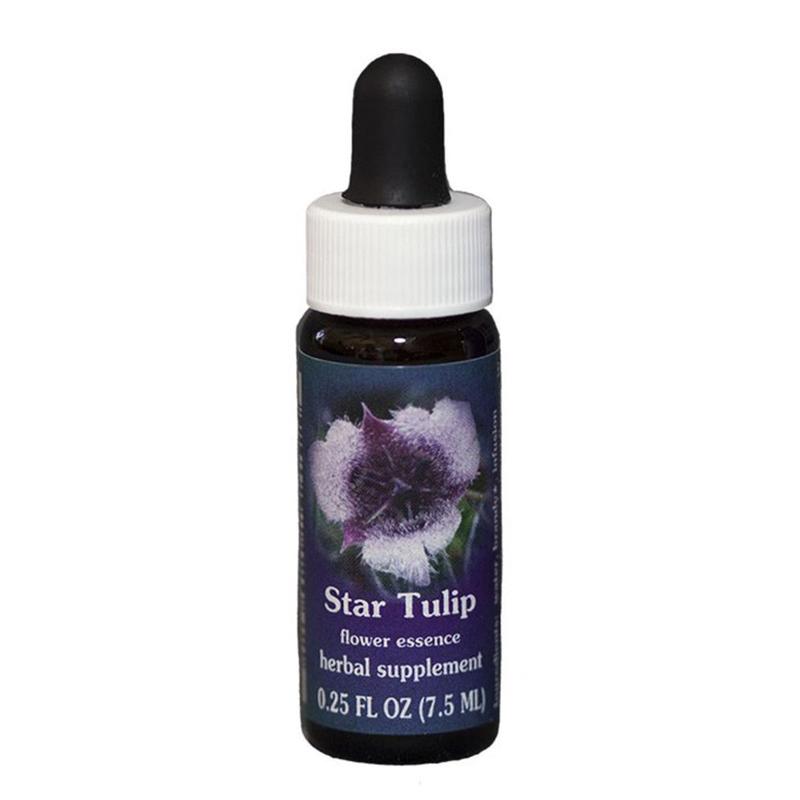FES Quintessentials Star Tulip 7.5ml