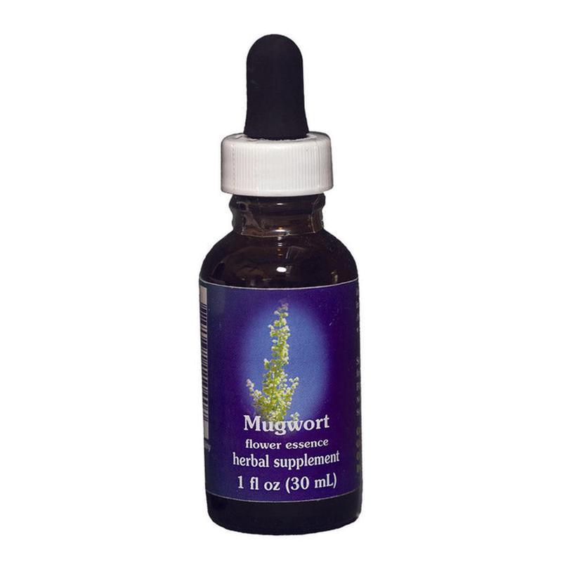 FES Mugwort Quintessentials 30ml