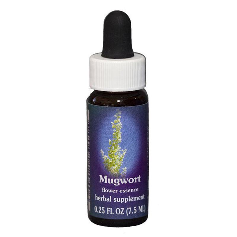 FES Mugwort Quintessentials 7.5ml