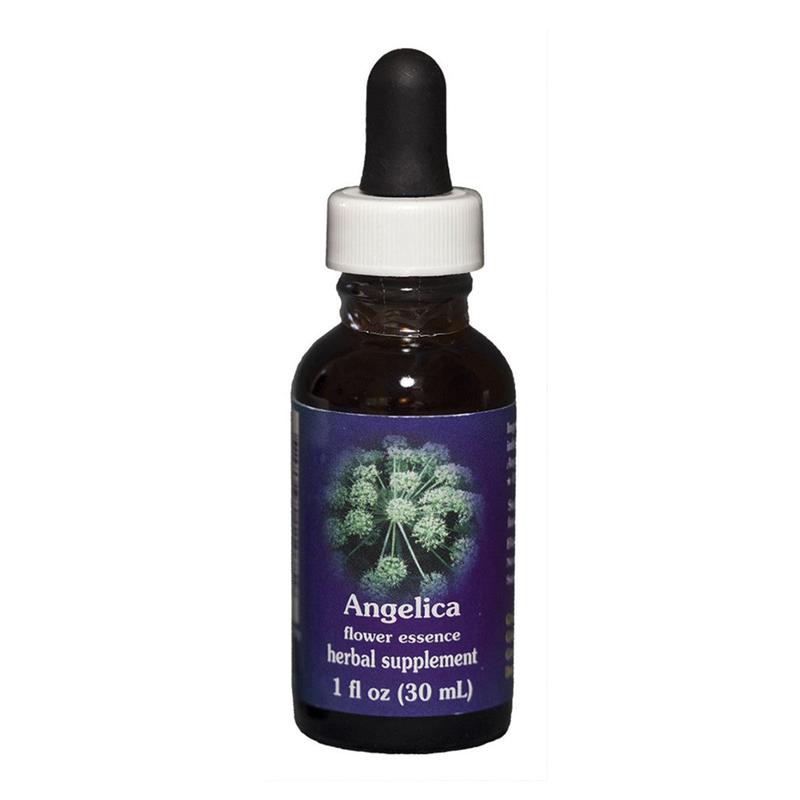 FES Angelica Quintessentials 30ml