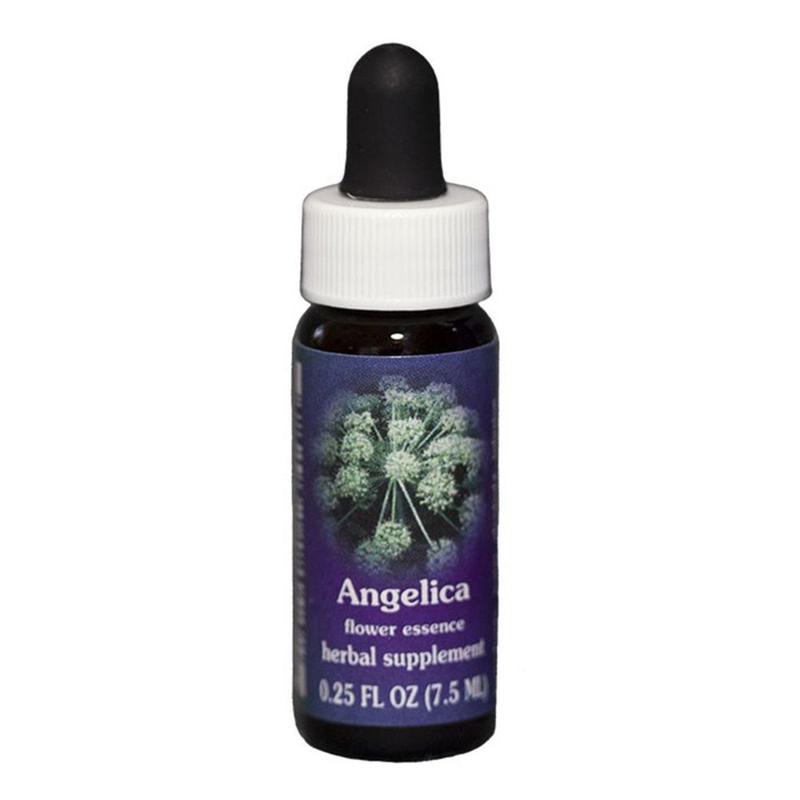 FES Angelica Quintessentials 7.5ml