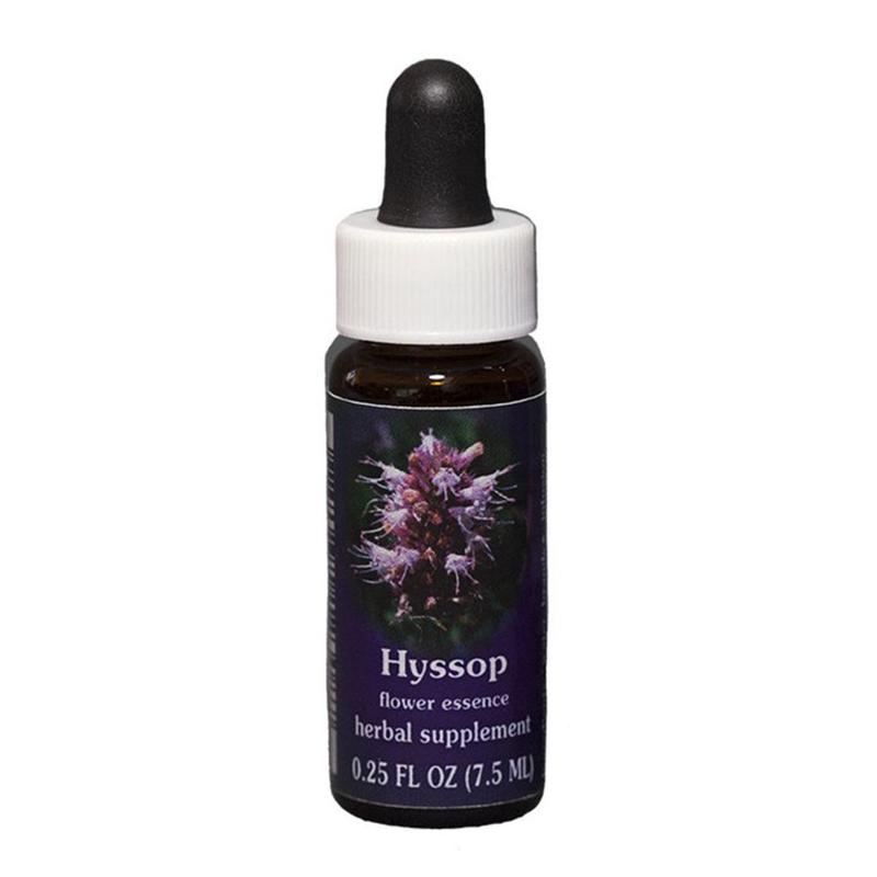 FES Flower Essences Range Of Light Quintessentials 7.5ml G to I Hyssop