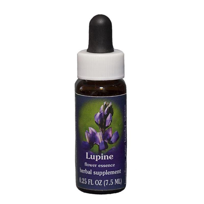 FES Flower Essences Range Of Light Quintessentials 7.5ml J to L Lupine