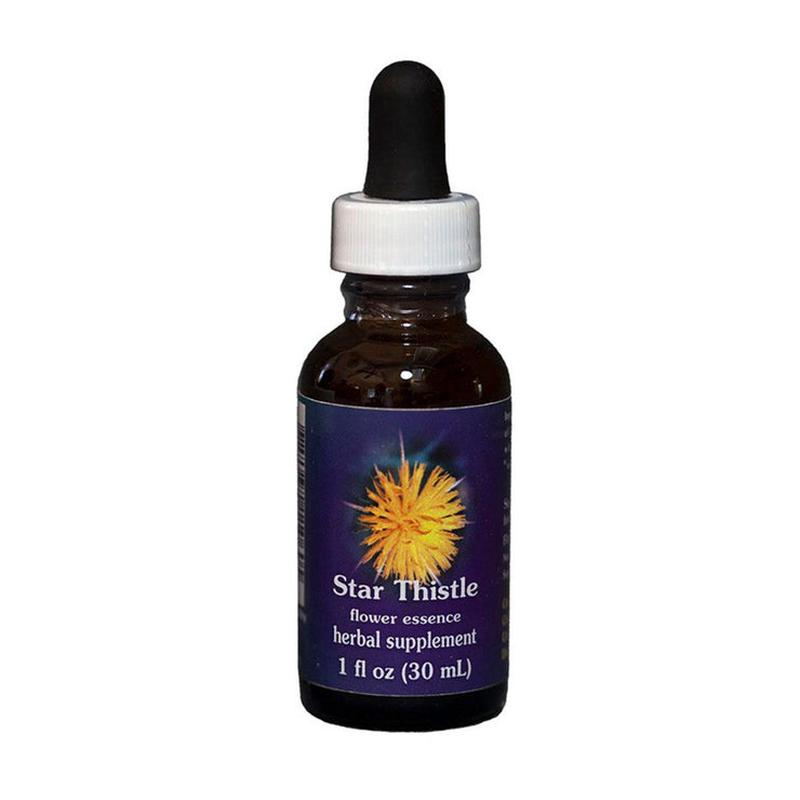 FES Star Thistle Quintessentials 30ml