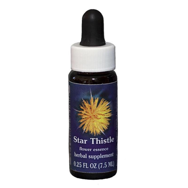 FES Star Thistle Quintessentials 7.5ml